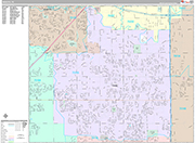 DeSoto Wall Map Premium Style