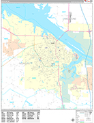 Decatur  Wall Map Premium Style