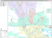 Dublin  Wall Map Premium Style
