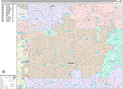 Fullerton  Wall Map Premium Style