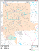 Jackson  Wall Map Premium Style