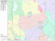 Malden  Wall Map Premium Style