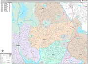 Malden  Wall Map Premium Style