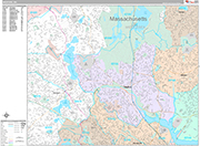 Medford Wall Map Premium Style