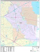 Mesquite  Wall Map Premium Style