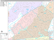 Plainfield  Wall Map Premium Style