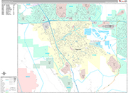 Pleasanton Wall Map Premium Style