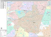 Pomona Wall Map Premium Style