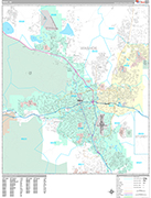 Reno  Wall Map Premium Style