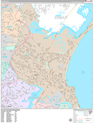 Revere  Wall Map Premium Style