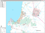 Salinas Wall Map Premium Style