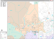 Santee  Wall Map Premium Style