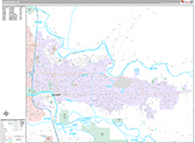 Springfield Wall Map Premium Style