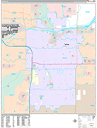 Tempe Wall Map Premium Style