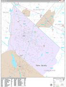 Vineland  Wall Map Premium Style