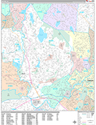 Wayne  Wall Map Premium Style