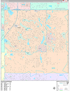 Woodbury  Wall Map Premium Style