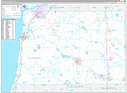 Allegan Wall Map Premium Style