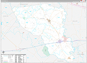 Austin Wall Map Premium Style