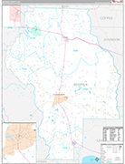 Berrien Wall Map Premium Style