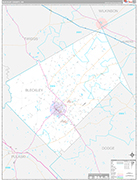 Bleckley Wall Map Premium Style