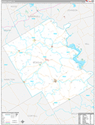 Bosque Wall Map Premium Style