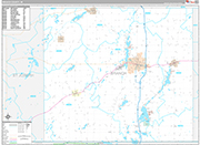 Branch Wall Map Premium Style