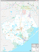 Brazoria Wall Map Premium Style