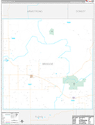 Briscoe Wall Map Premium Style