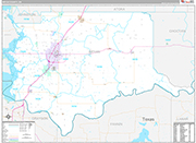 Bryan Wall Map Premium Style