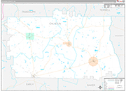 Calhoun Wall Map Premium Style