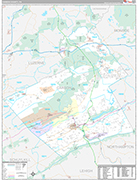 Carbon Wall Map Premium Style
