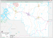 Carroll Wall Map Premium Style