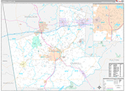 Carroll Wall Map Premium Style