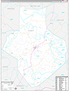 Casey Wall Map Premium Style