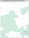 Catron Wall Map Premium Style