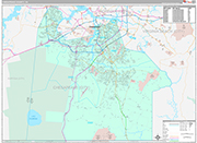 Chesapeake Wall Map Premium Style