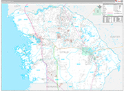 Citrus Wall Map Premium Style