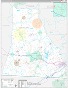 Cleveland Wall Map Premium Style