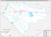 Columbus Wall Map Premium Style