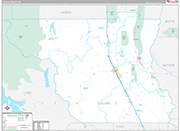 Colusa Wall Map Premium Style