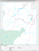 Covington Wall Map Premium Style