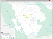 Custer Wall Map Premium Style