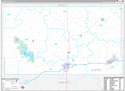 Custer Wall Map Premium Style