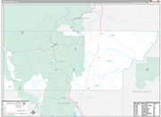 Custer Wall Map Premium Style