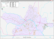 Danville Wall Map Premium Style