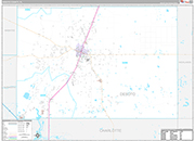 DeSoto Wall Map Premium Style