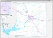Decatur Wall Map Premium Style