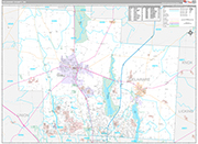 Delaware Wall Map Premium Style