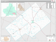 Dewitt County Wall Map Premium Style